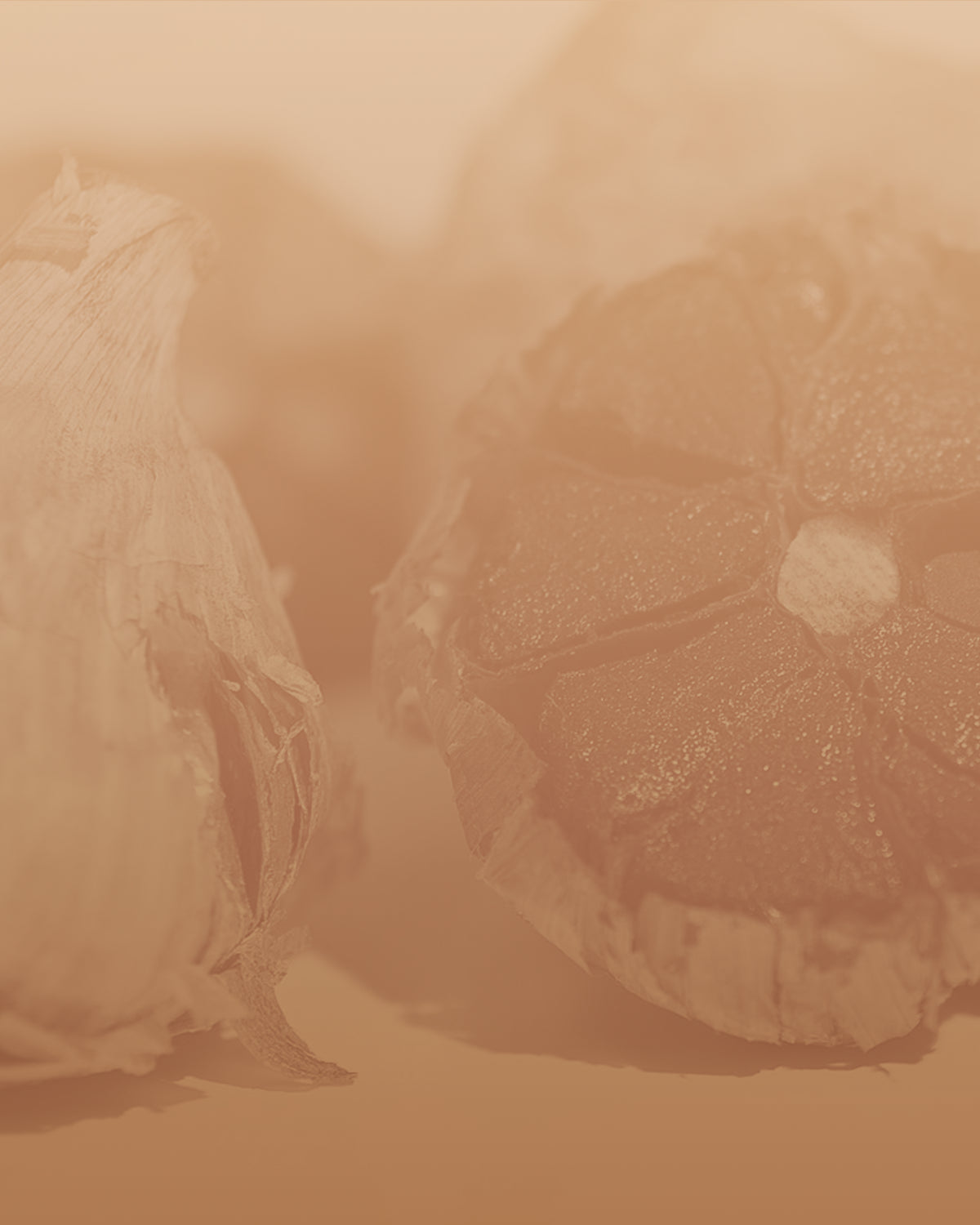 L'ail vieilli que la science étudie depuis 30 ans